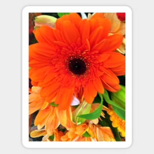 Orange Floral Display - Autumn Bouquet - Flowers Sticker